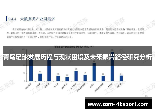 青岛足球发展历程与现状困境及未来振兴路径研究分析