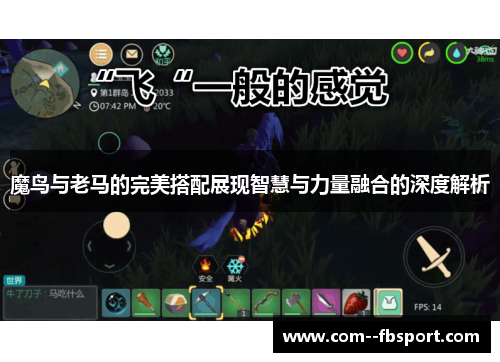 魔鸟与老马的完美搭配展现智慧与力量融合的深度解析