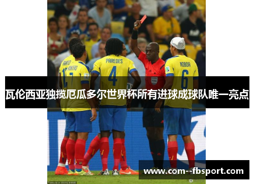 瓦伦西亚独揽厄瓜多尔世界杯所有进球成球队唯一亮点 瓦伦西亚独揽厄瓜多尔世界杯所有进球成球队唯一亮点